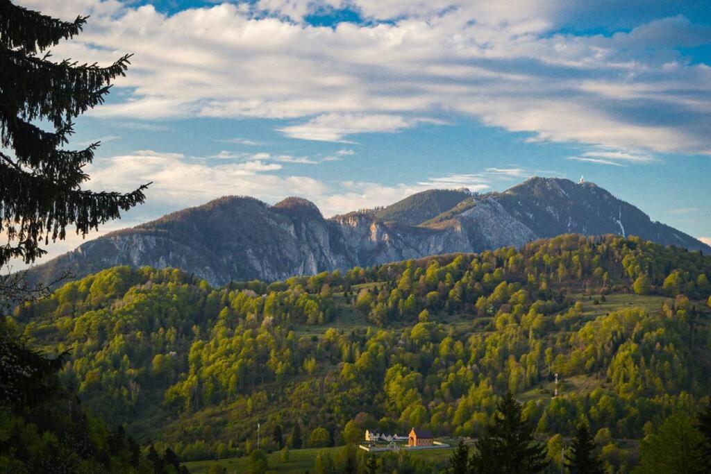 Chalet Dor De Munte Predeal Dış mekan fotoğraf
