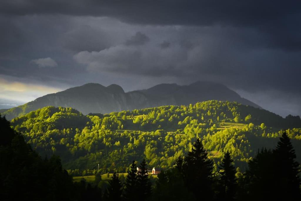 Chalet Dor De Munte Predeal Dış mekan fotoğraf