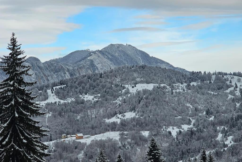 Chalet Dor De Munte Predeal Dış mekan fotoğraf